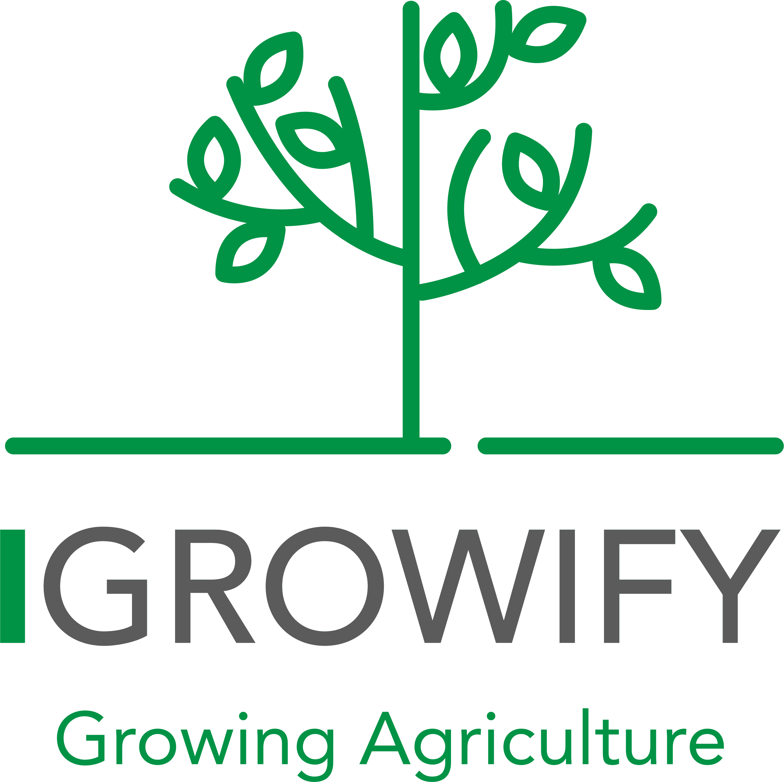 Igrowify-logo