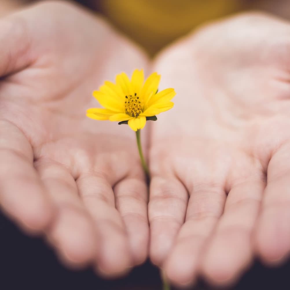 from-crisis-to-confidense